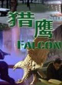 猎鹰全集在线观看